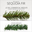 30" Commercial Sequoia Fir Prelit Wreath, 100 Warm White LED 5mm Lights