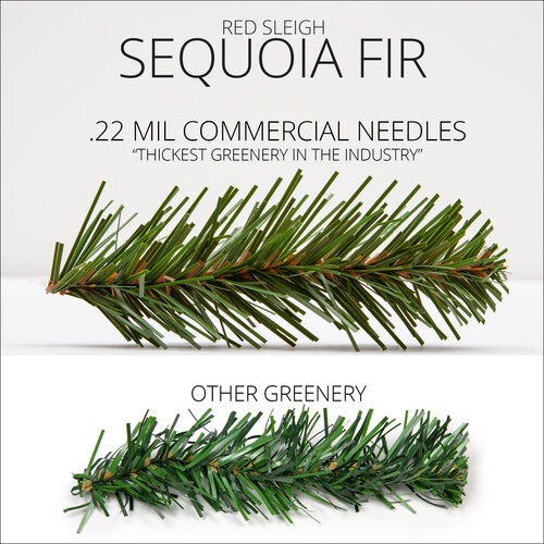 24" Commercial Sequoia Fir Prelit Wreath, 50 Clear Mini Lights