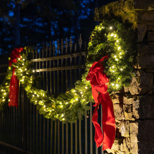24" Commercial Sequoia Fir Prelit Wreath, 50 Warm White LED 5mm Lights