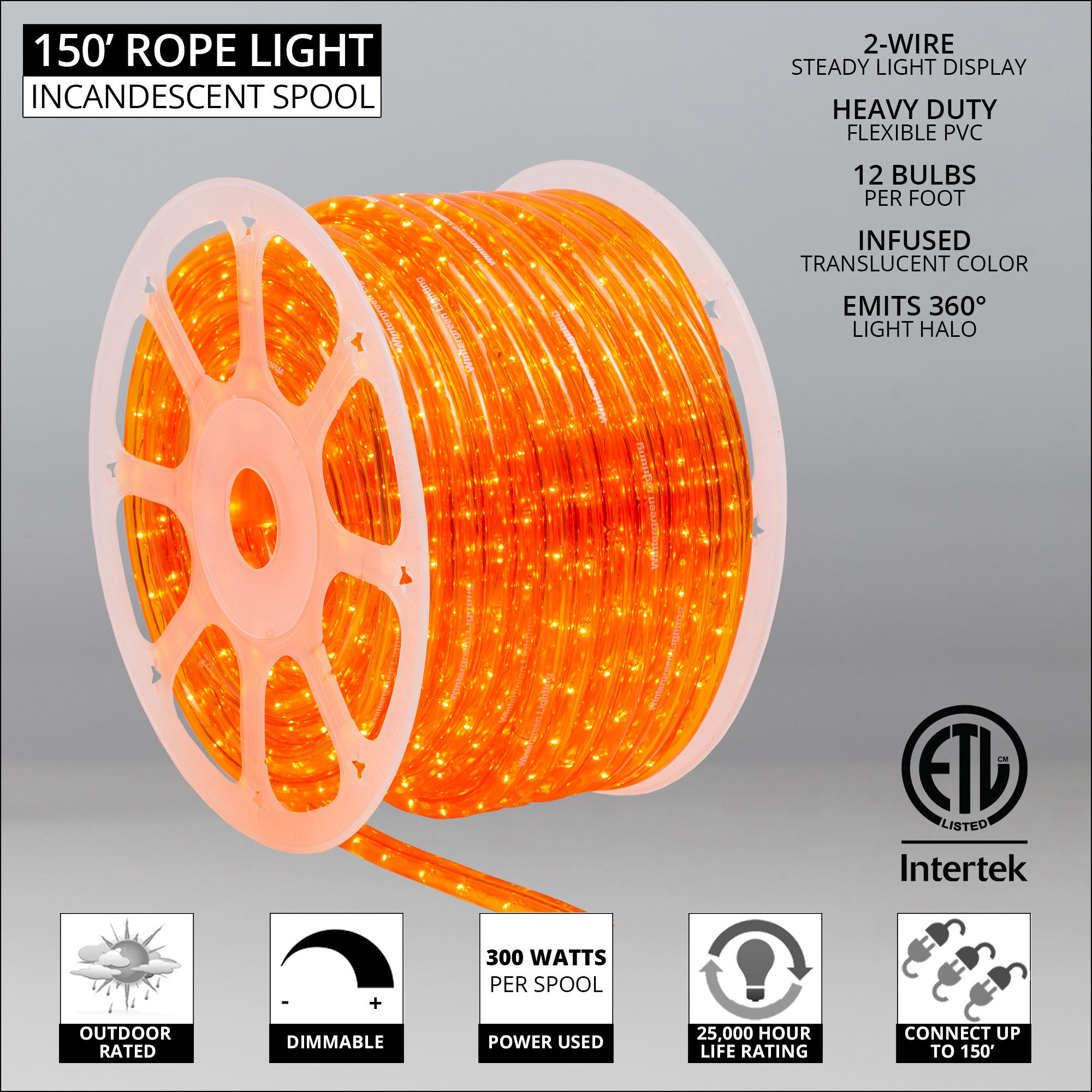 Orange Rope Light, 150 ft - Wintergreen Corporation