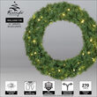 24" Balsam Fir Prelit Wreath, 50 Warm White LED T5 Lights