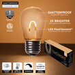 S14 Shatterproof Warm White FlexFilament TM LED Bulbs