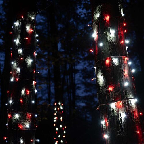 20" x 45" Red, Cool White StretchNet Pro 5mm LED Christmas Trunk Wrap Lights, 50 Lights on Brown Wire