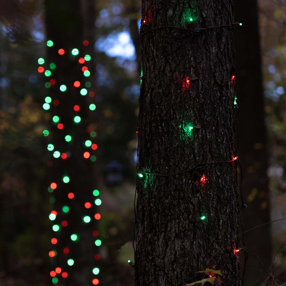 Wintergreen Lighting outdoor LED Christmas sold light bundle