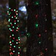20" x 45" Red, Green StretchNet Pro 5mm LED Christmas Trunk Wrap Lights, 50 Lights on Brown Wire