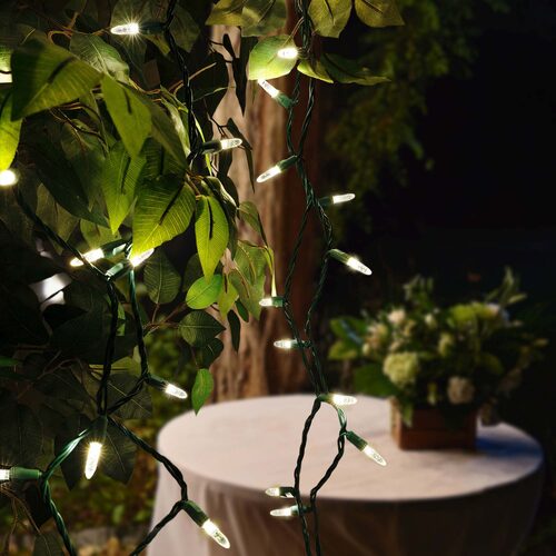 70 M5 Warm White LED Lights, Green Wire, 4" Spacing