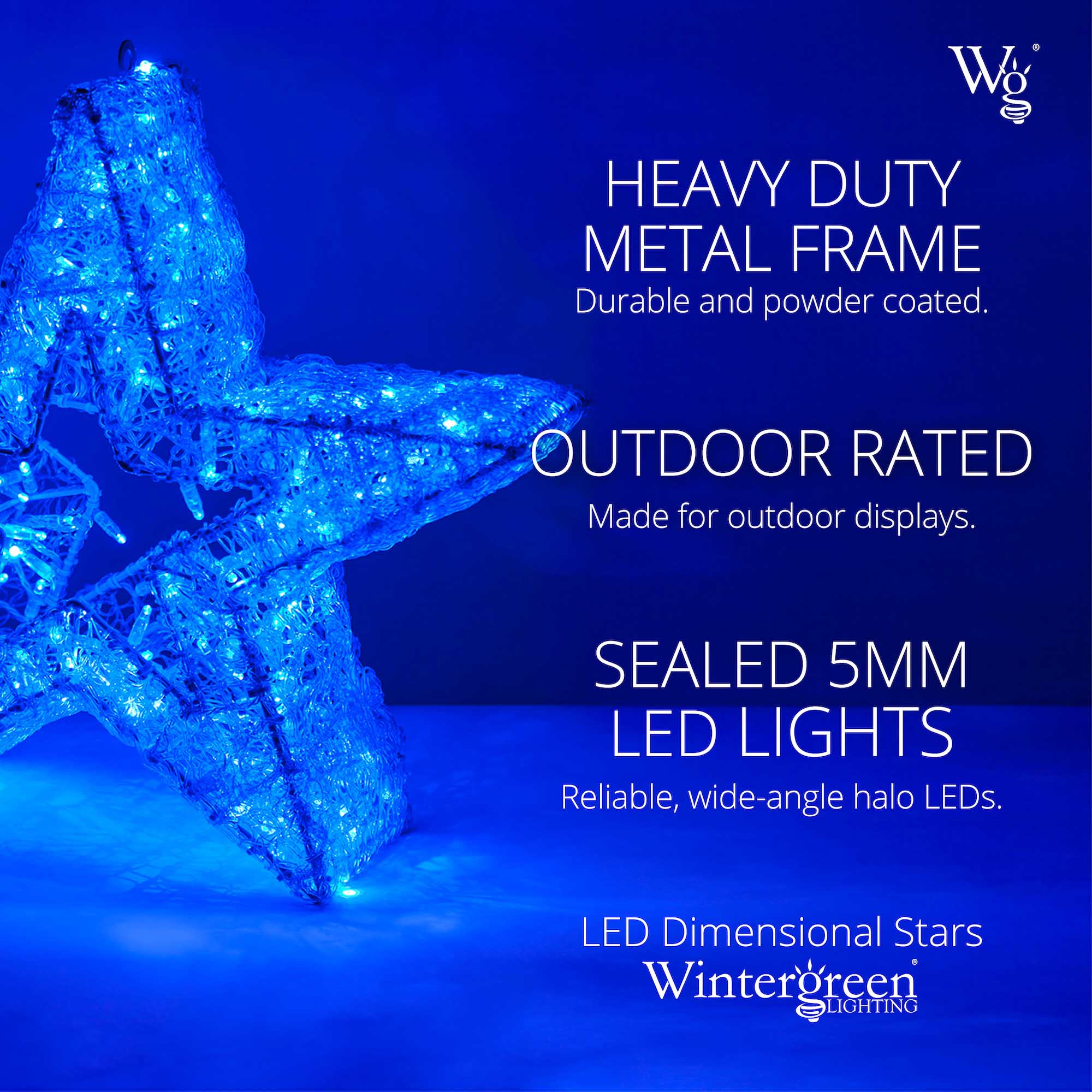 Wintergreen Lighting&reg LED Five Point Dimensional Star, Blue