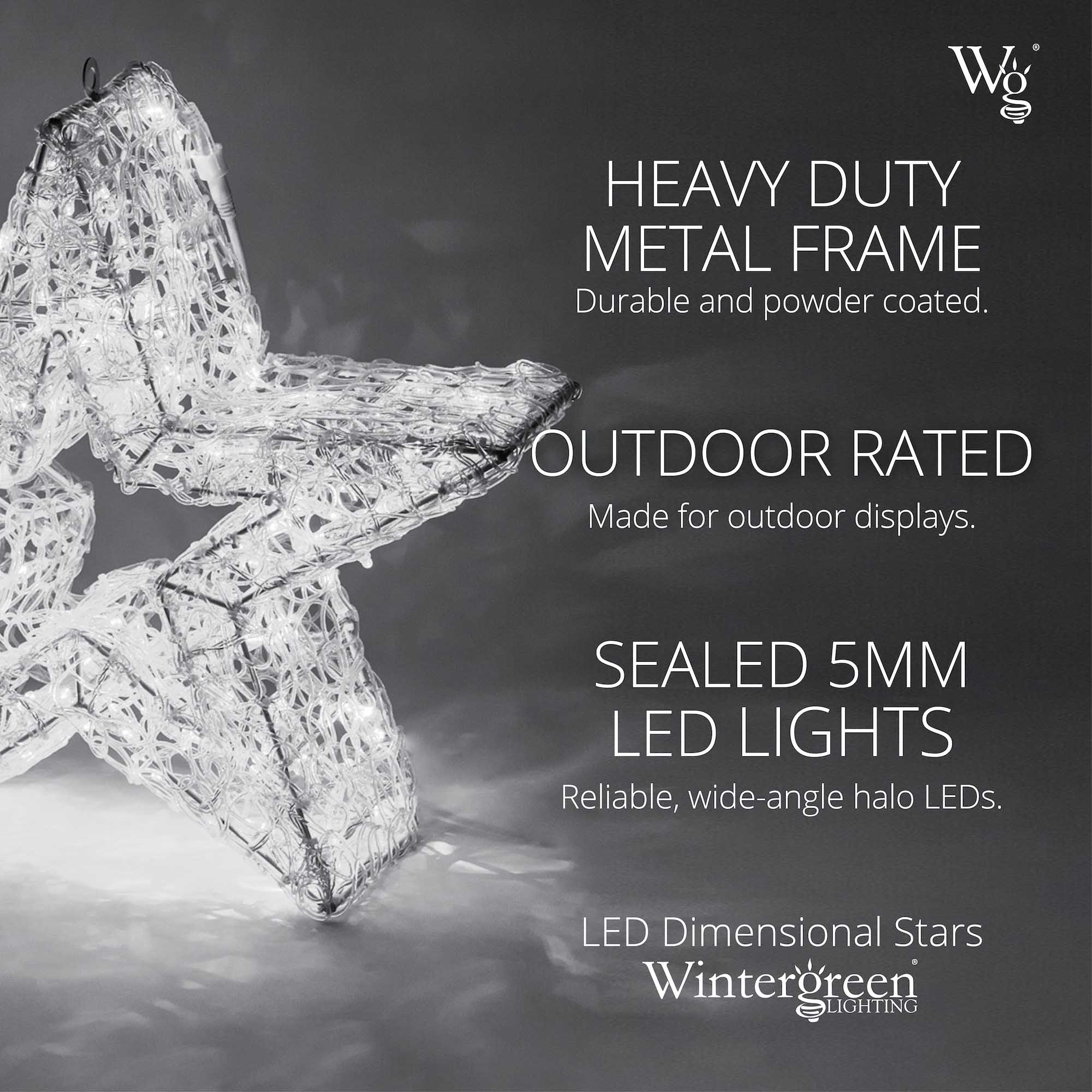 Wintergreen Lighting® LED Five Point Dimensional Star