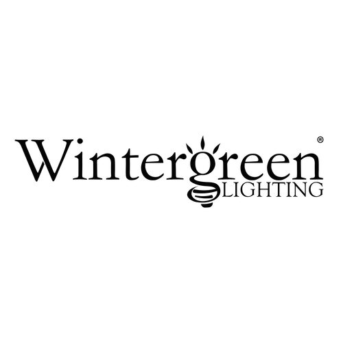 Wintergreen Lighting&reg C7 130V Strobe / Commercial Twinkle Cool White LED Bulbs