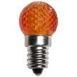 G20 Acrylic Amber LED Globe Light Bulbs