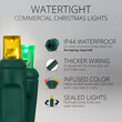 25 5mm Multi Color Commercial LED Lights, Green Wire, 4" Spacing