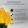 25 C7 Gold Commercial LED Lights, Green Wire, 12" Spacing