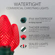 25 C7 Red Commercial LED Lights, Green Wire, 12" Spacing