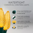 25 C9 Gold Commercial LED Lights, Green Wire, 12" Spacing