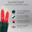 25 M5 Red Commercial LED Lights, Green Wire, 4" Spacing