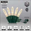 25 M5 Warm White Commercial LED Lights, Green Wire, 4" Spacing