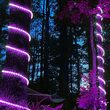 Purple Rope Light, 18 ft