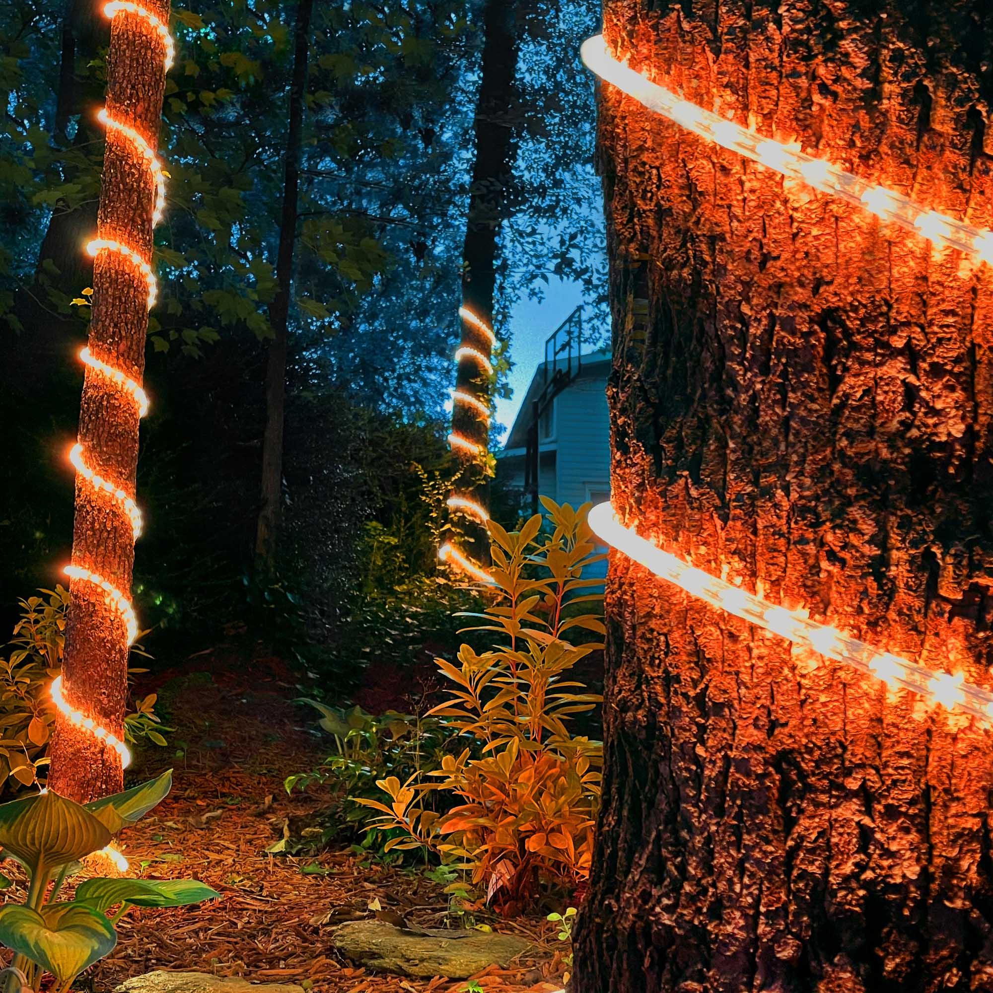 Orange LED Rope Light, 150 ft - Wintergreen Corporation