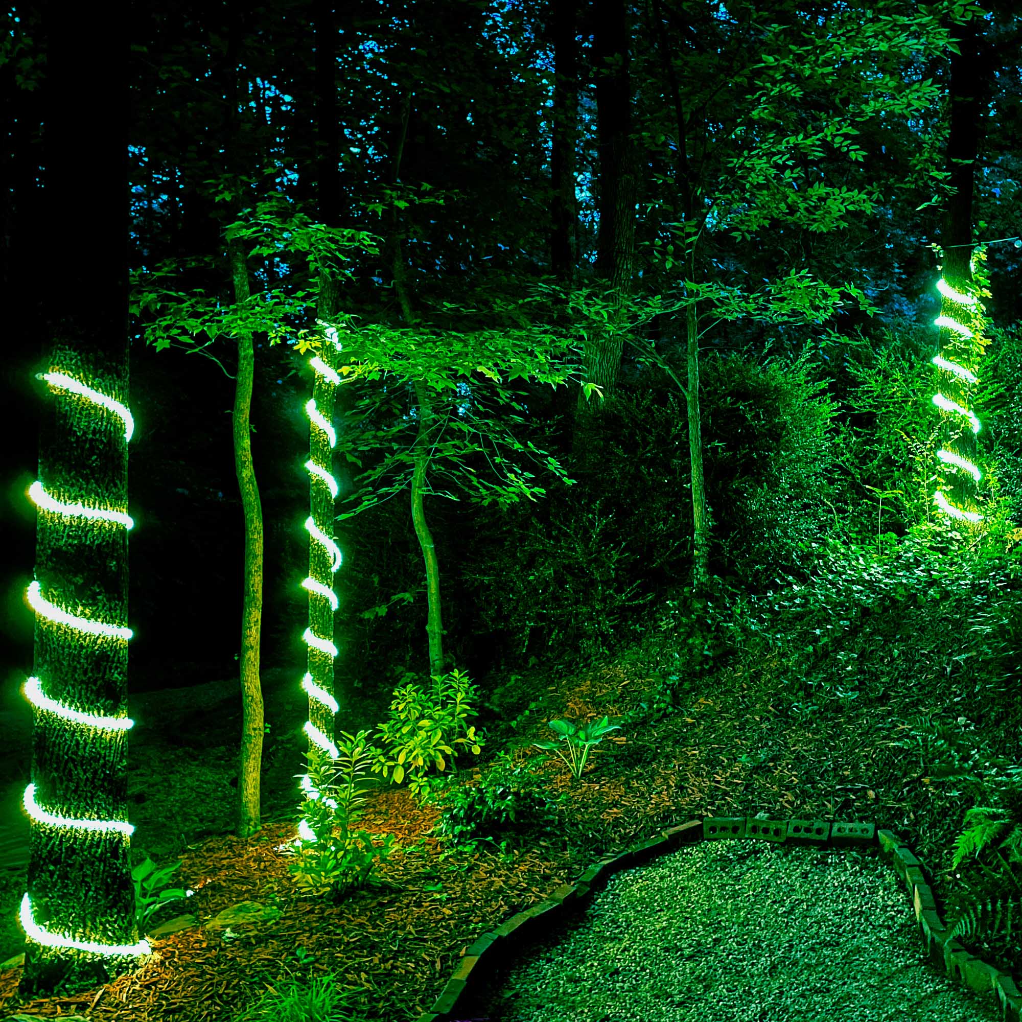 Green LED Rope Light 18 ft Wintergreen Corporation