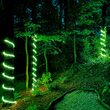 Green Rope Light, 18 ft