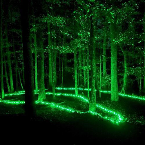 70 5mm Green LED Christmas Lights, Green Wire, 4" Spacing