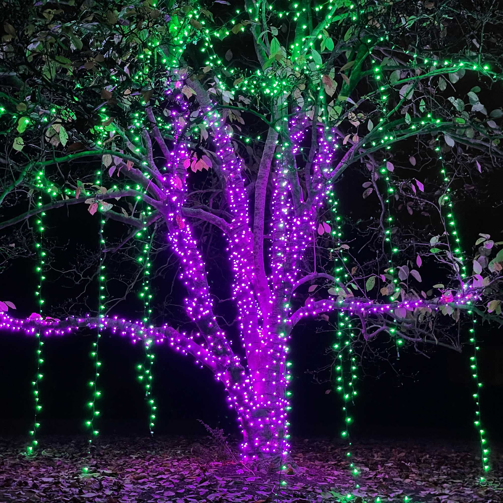 M5 Green LED Christmas Tree Lights on Green Wire - Wintergreen