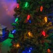 25 C9 Multi Color LED Christmas Lights, Green Wire, 8" Spacing