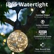 15' Warm White LEDimagine TM Patio String Light Set with 10 G95 Fairy Light Bulbs on Black Wire, with Drops