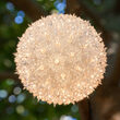 6" Warm White T5 LED Starlight Sphere, 50 Lights