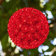 6" Red T5 LED Starlight Sphere, 50 Lights