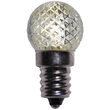 G20 Acrylic Warm White LED Globe Light Bulbs