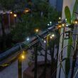 50 5mm Cool White, Warm White Champagne LED Christmas Lights, Green Wire, 6" Spacing