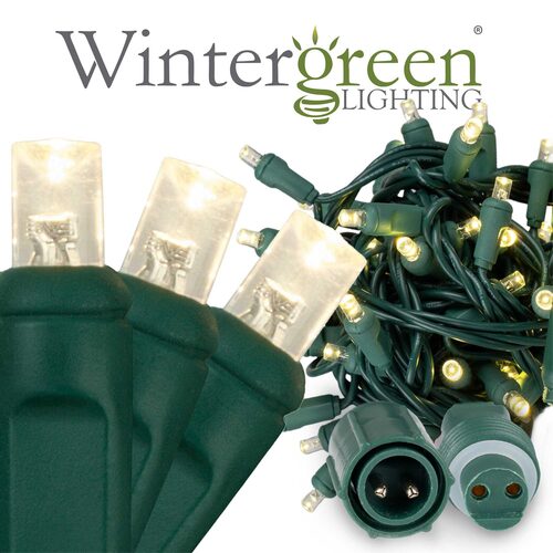 25ft Warm White LED Christmas Lights - 50 Count Outdoor String Lights UL Certified