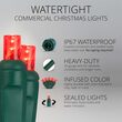 25 5mm Red WeatherPRO TM Commercial LED Lights, Green Wire, 4" Spacing