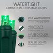 25 5mm Green WeatherPRO TM Water-Tight Commercial LED Lights, Green Wire, 4" Spacing