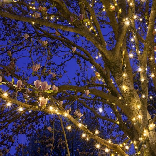 50 Kringle Traditions 5mm Warm White LED Christmas Lights, Green Wire, 6" Spacing, Contractor Pack