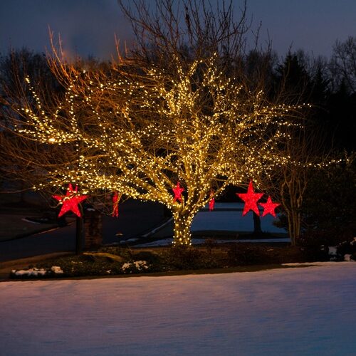 50 Kringle Traditions 5mm Warm White LED Christmas Lights, Green Wire, 6" Spacing, Contractor Pack