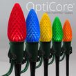 C9 Multicolor OptiCore Christmas Pathway Lights, 25 Lights, 5 Inch PathPRO Stakes, 25'