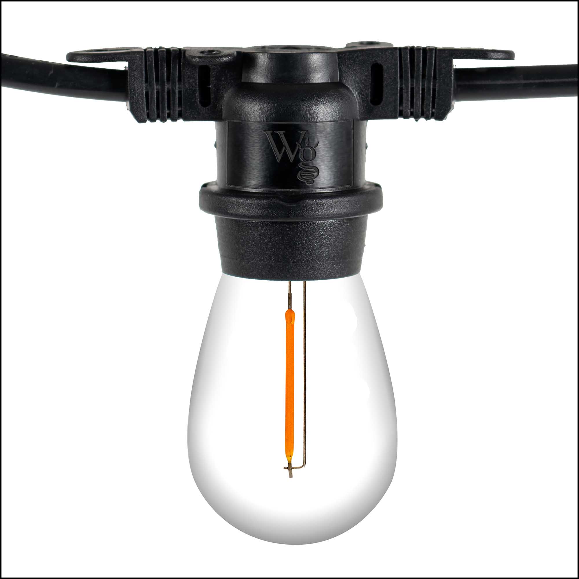 Wintergreen Corporation