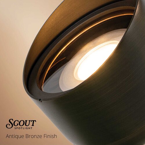 Scout Low Voltage Landscape Lighting Outdoor Spotlight, Antique Bronze