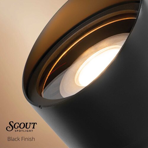 Scout Low Voltage Landscape Lighting Outdoor Spotlight, Black