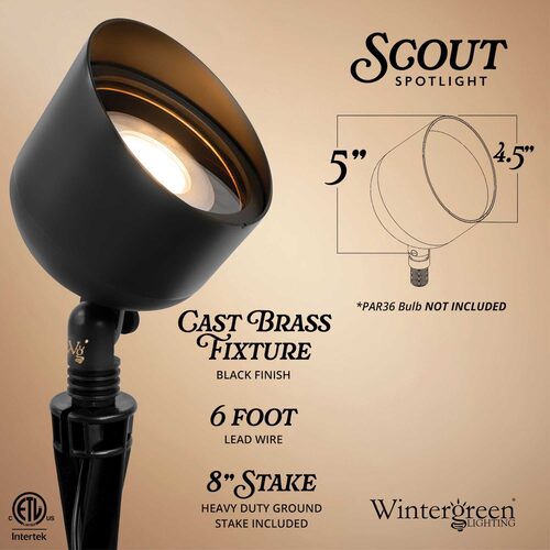 Scout Low Voltage Landscape Lighting Outdoor Spotlight, Black