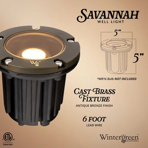 4.75" Savannah Landscape Well Light, Antique Bronze