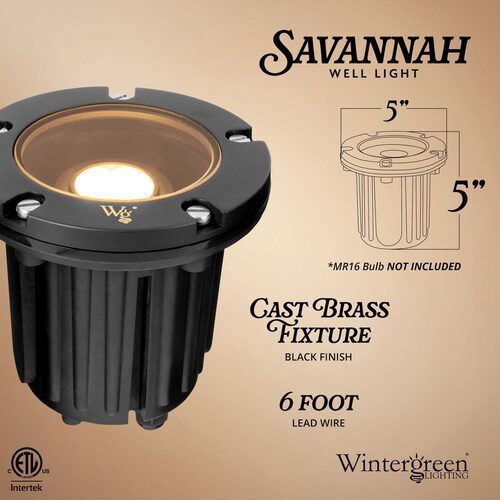 4.75" Savannah Landscape Well Light, Black