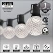 25' Cool White OptiCore LED Patio String Light Set with 25 G50 Bulbs on Black Wire, E17 Base
