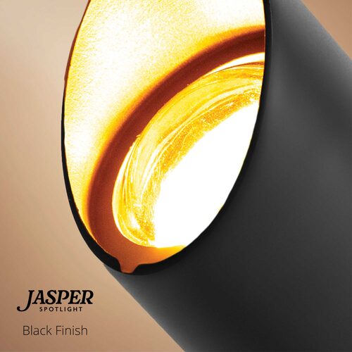 Jasper Low Voltage Landscape Lighting Outdoor Compact Spotlight, Black