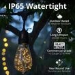 15' Warm White LEDimagine TM Patio String Light Set with 10 ST64 Fairy Light Bulbs on Black Wire, with Drops