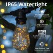 15' Warm White LEDimagine TM Patio String Light Set with 10 ST64 Fairy Light Bulbs on Black Wire