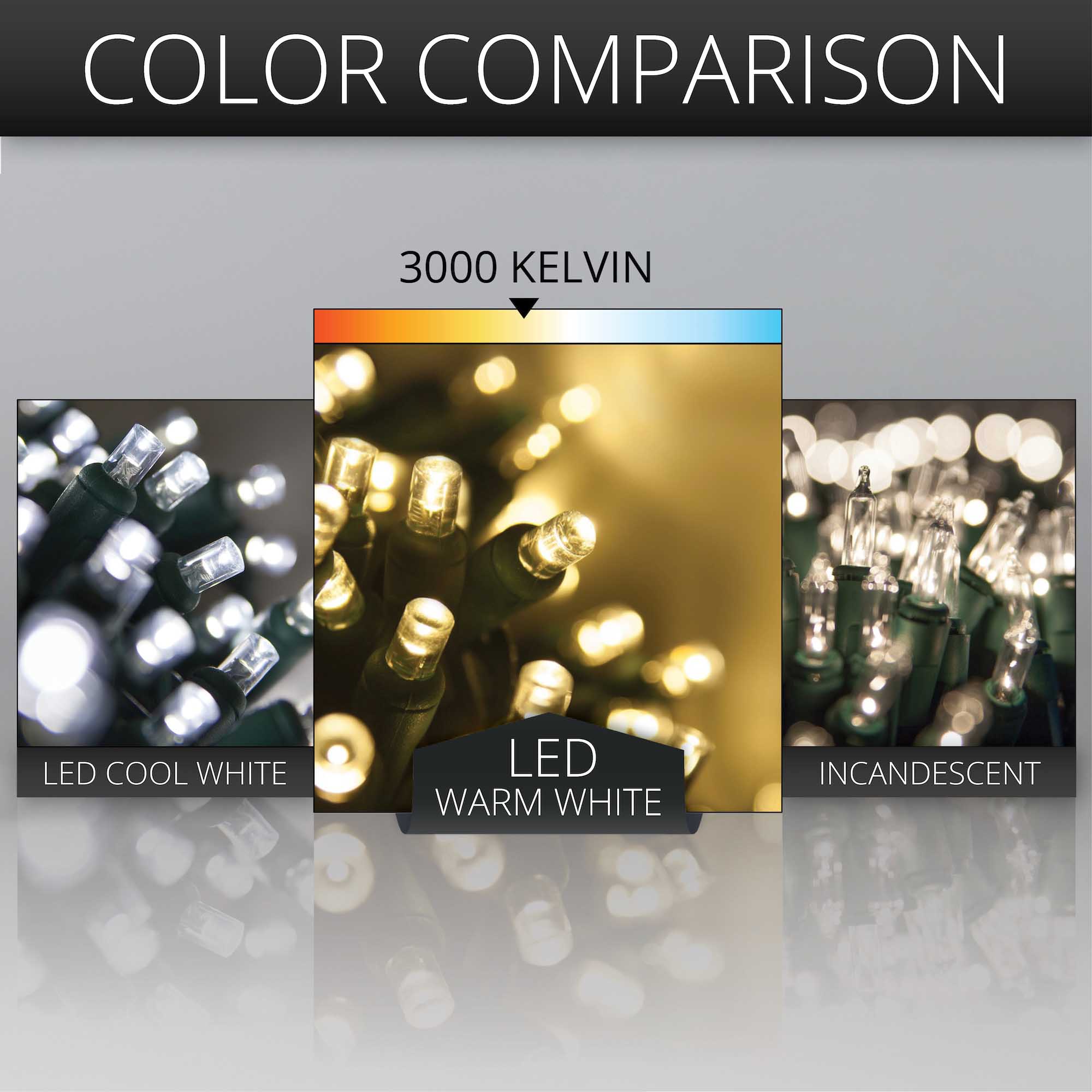 5mm Wide Angle Warm White LED Christmas Lights on Green Wire
