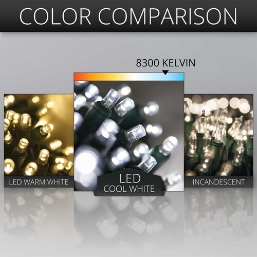 50 5mm Cool White SoftTwinkle TM LED Christmas Lights, Green Wire, 4" Spacing
